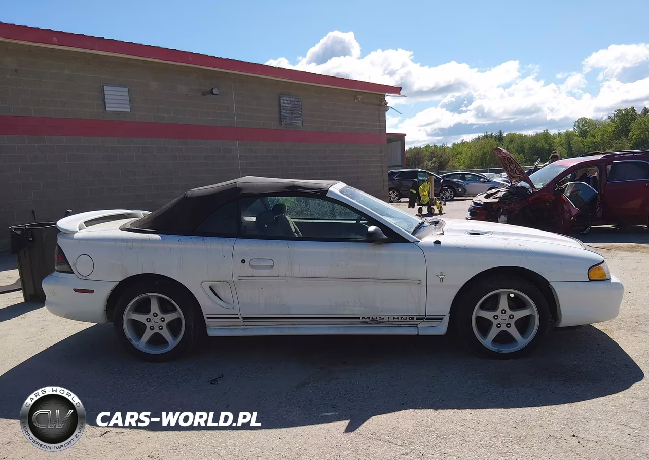1998 Ford Mustang VIN:1FAFP4445WF231126 - 14