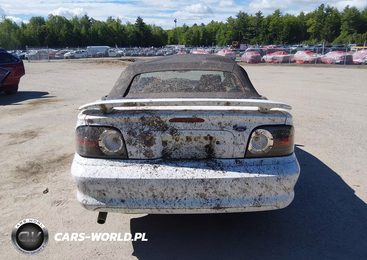 1998 Ford Mustang VIN:1FAFP4445WF231126 - 17