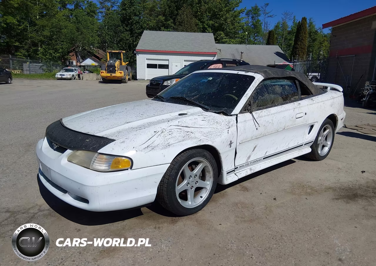 1998 Ford Mustang VIN:1FAFP4445WF231126 - 2