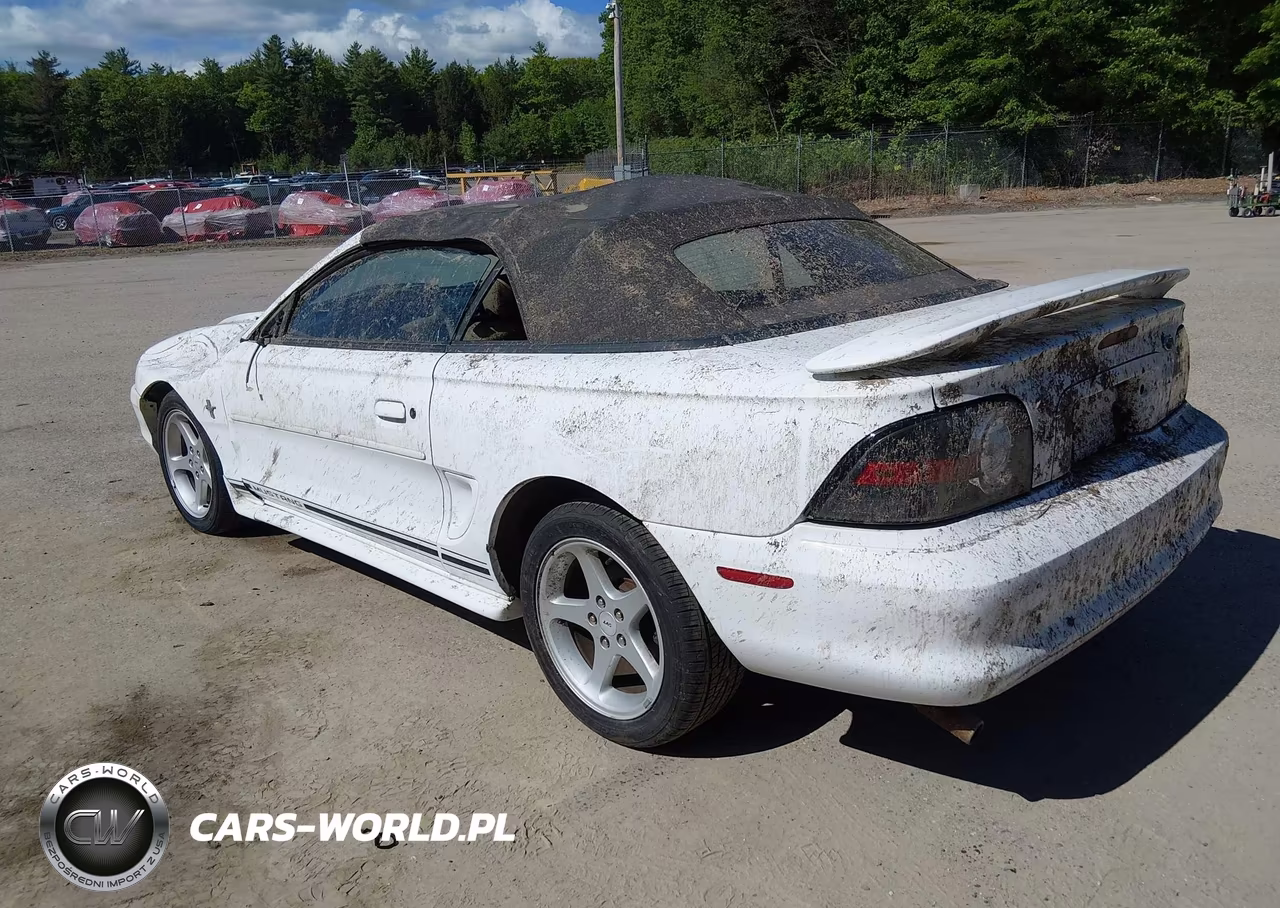 1998 Ford Mustang VIN:1FAFP4445WF231126 - 3