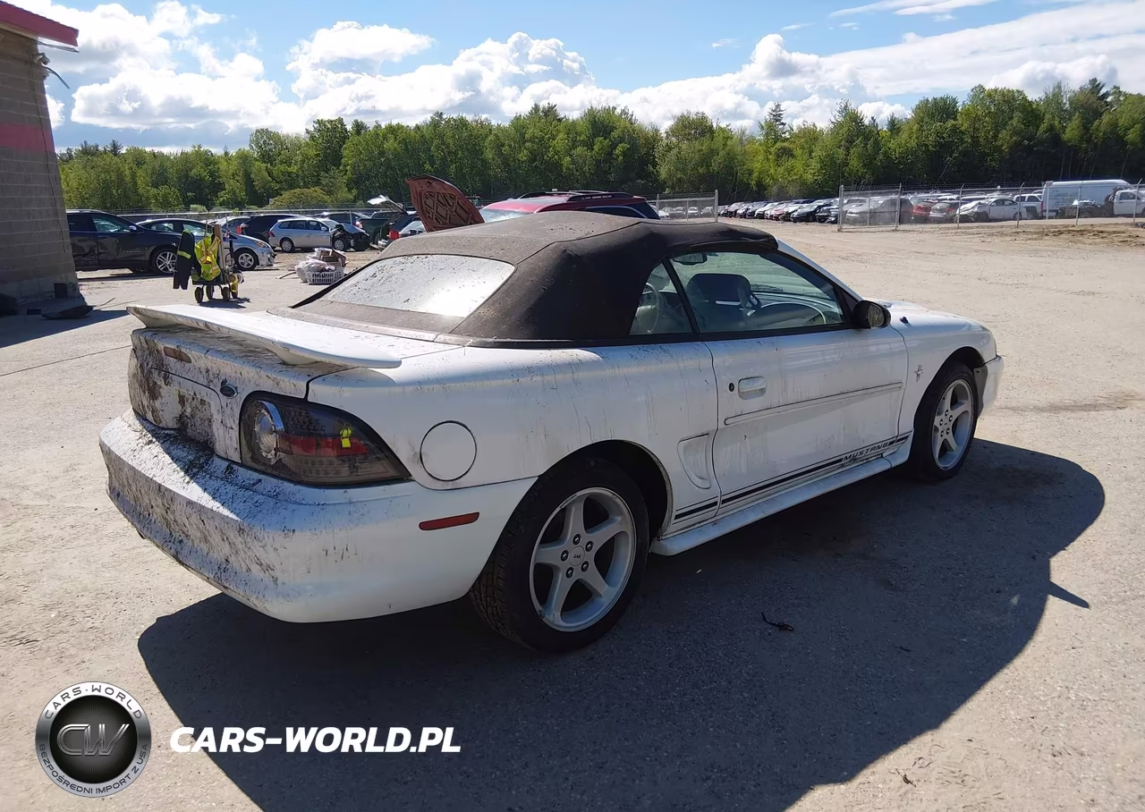 1998 Ford Mustang VIN:1FAFP4445WF231126 - 4