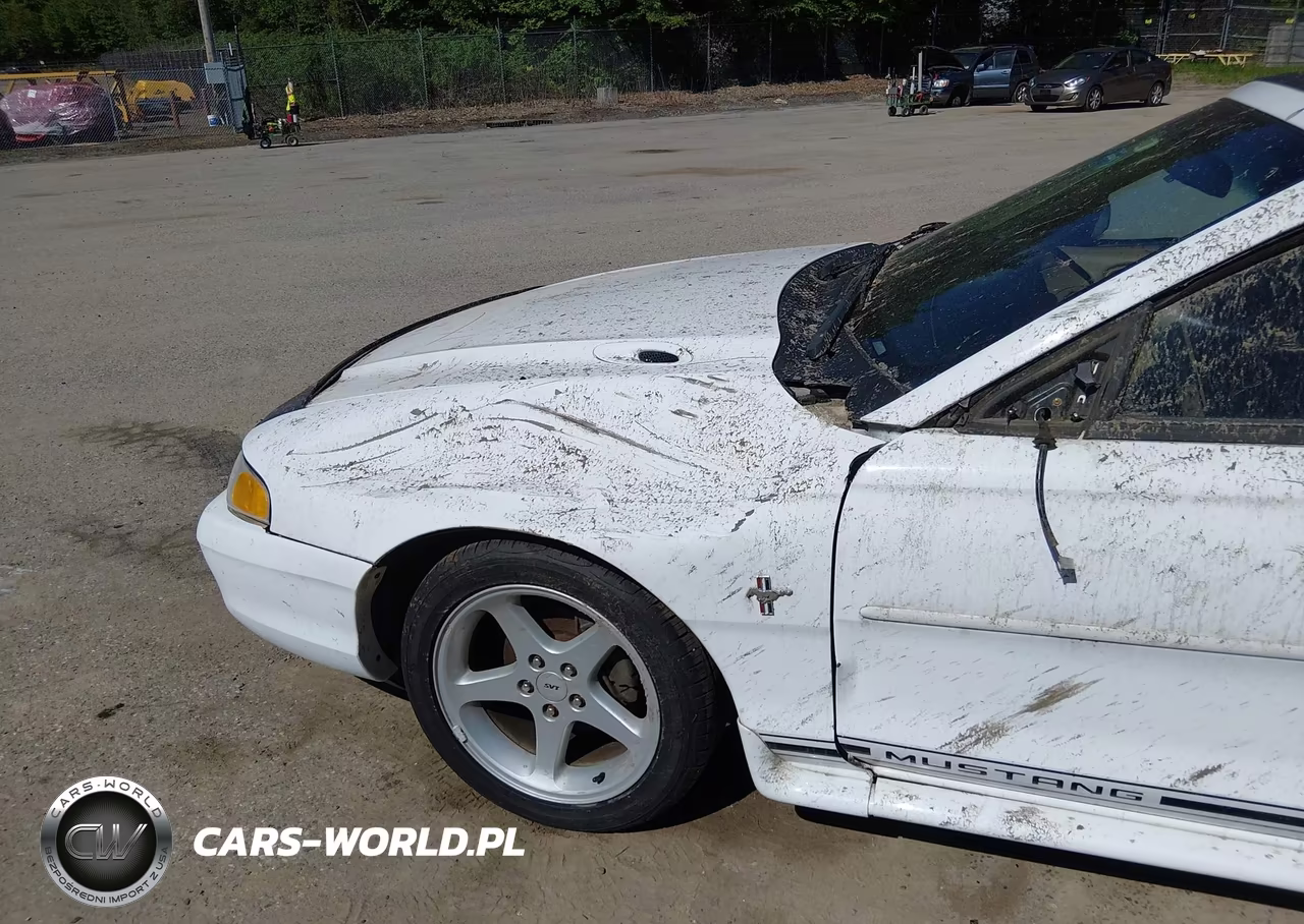 1998 Ford Mustang VIN:1FAFP4445WF231126 - 6