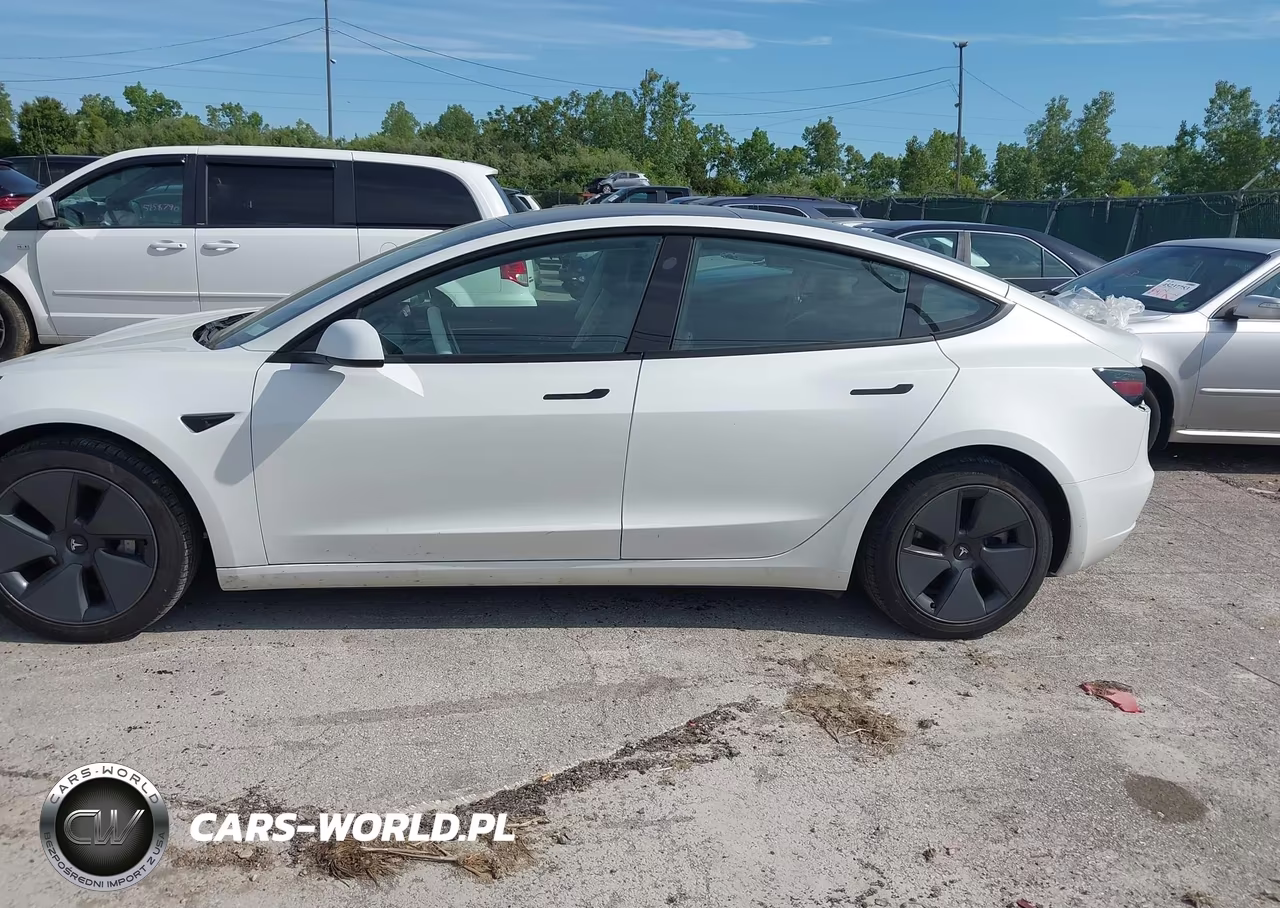2023 Tesla Model 3 Rear-Wheel Drive VIN:5YJ3E1EA9PF568801 - 15