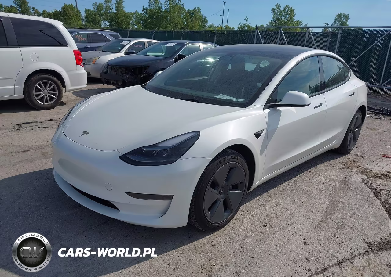 2023 Tesla Model 3 Rear-Wheel Drive VIN:5YJ3E1EA9PF568801 - 2