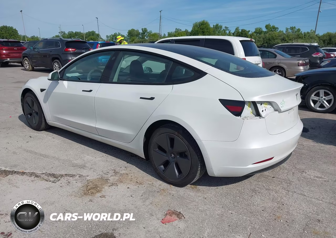 2023 Tesla Model 3 Rear-Wheel Drive VIN:5YJ3E1EA9PF568801 - 3