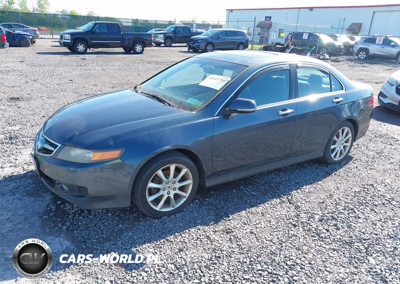 2008 Acura Tsx VIN:JH4CL96958C010207 - 2