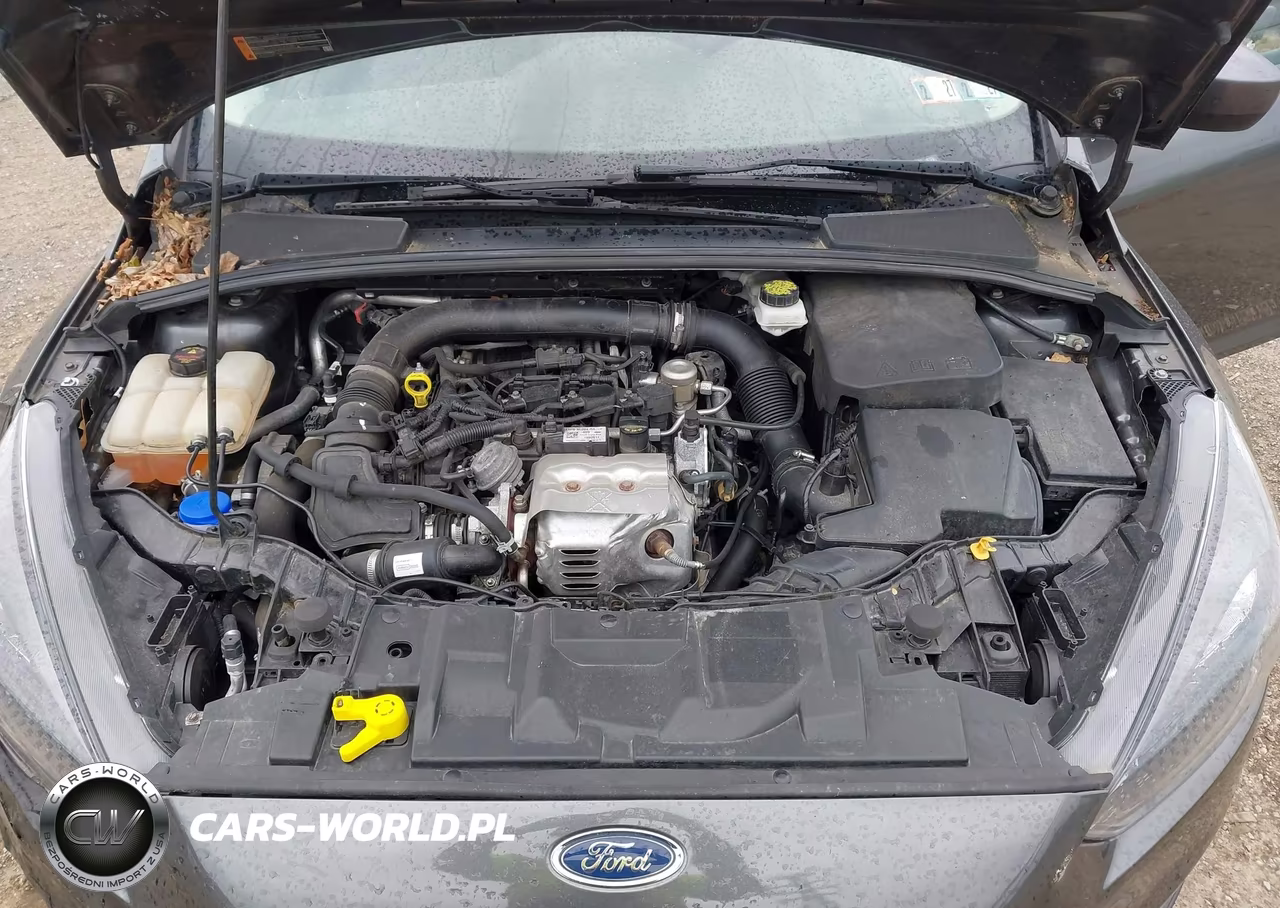 2018 Ford Focus Se VIN:1FADP3FE0JL249583 - 10