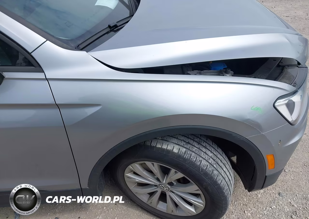 2019 Volkswagen Tiguan 2.0T S VIN:3VV0B7AX2KM086184 - 18