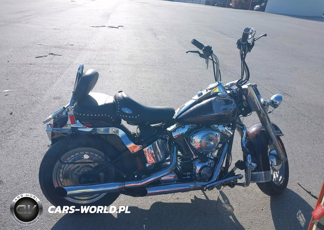2005 Harley-Davidson Flstci VIN:1HD1BWB175Y054720 - 12