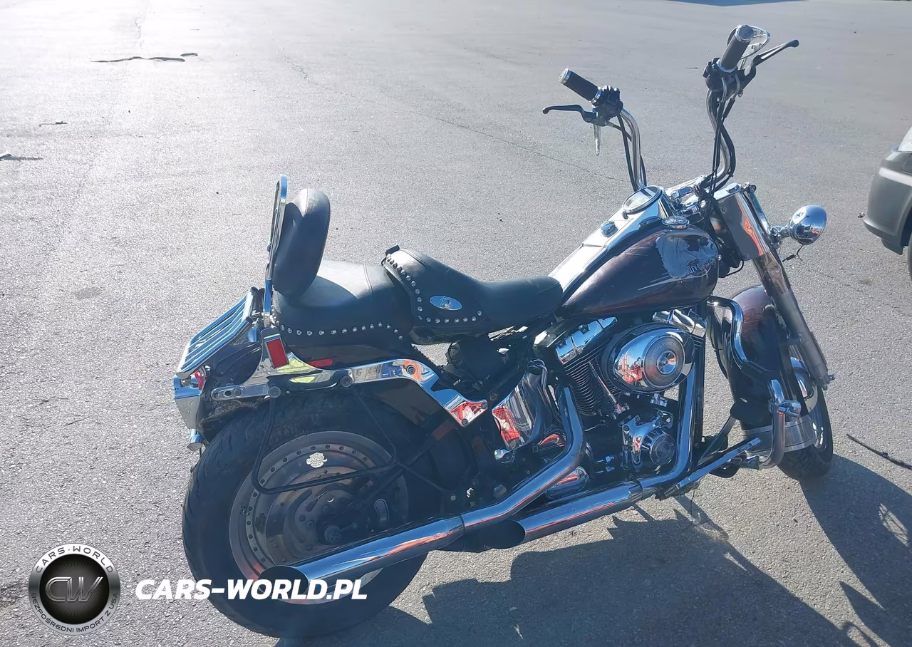 2005 Harley-Davidson Flstci VIN:1HD1BWB175Y054720 - 4