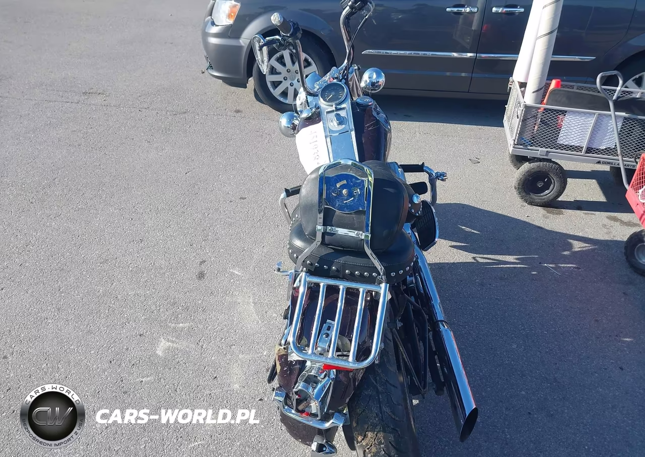 2005 Harley-Davidson Flstci VIN:1HD1BWB175Y054720 - 6