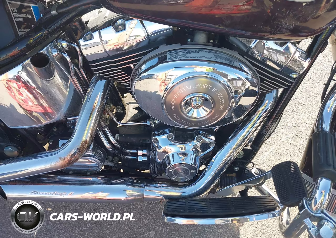 2005 Harley-Davidson Flstci VIN:1HD1BWB175Y054720 - 8