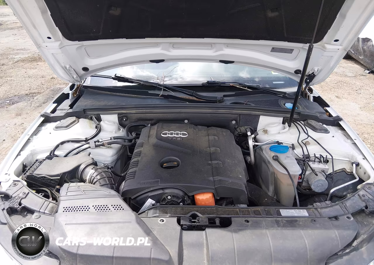 2013 Audi A4 2.0T Premium VIN:WAUFFAFL8DA143629 - 10
