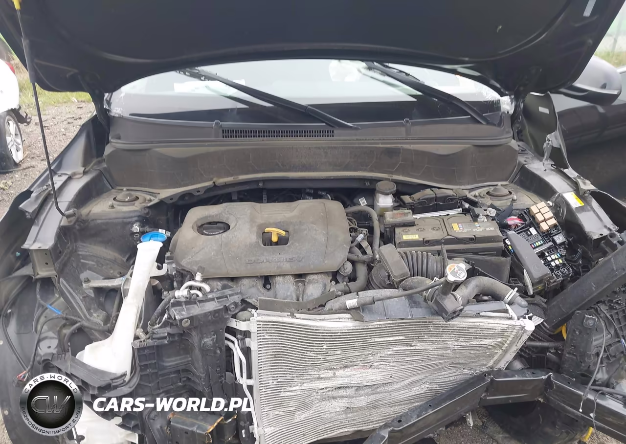 2024 Kia Seltos S VIN:KNDEUCAA3R7654241 - 10