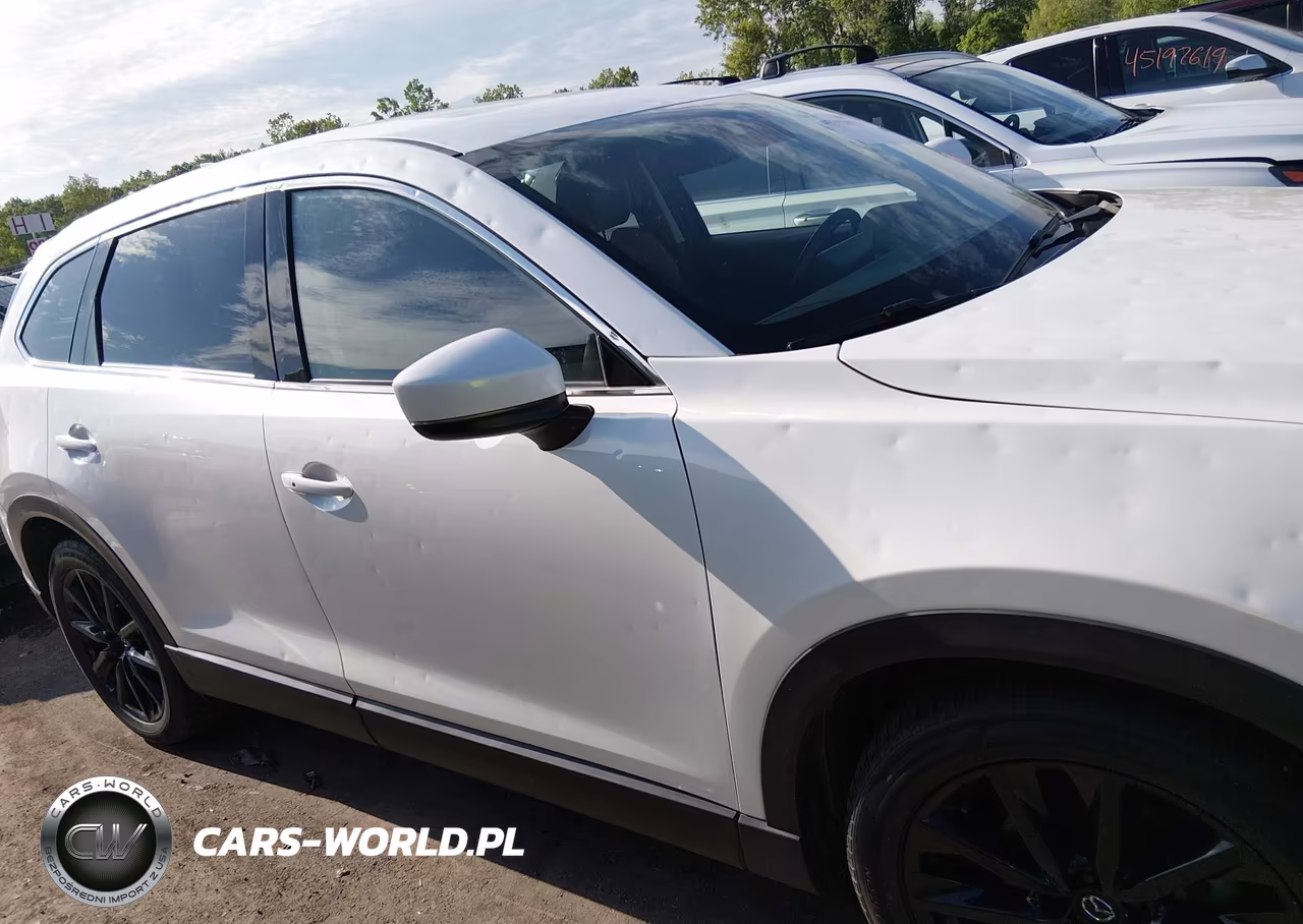 2023 Mazda Cx-9 Touring Plus VIN:JM3TCBAY9P0642478 - 13