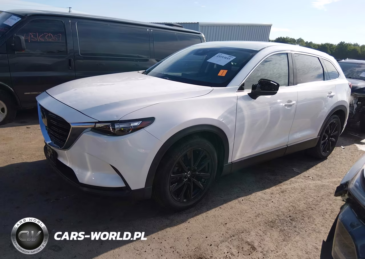 2023 Mazda Cx-9 Touring Plus VIN:JM3TCBAY9P0642478 - 2