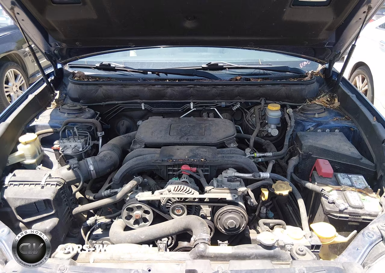 2010 Subaru Outback 2.5I Premium VIN:4S4BRBCC3A3367678 - 10