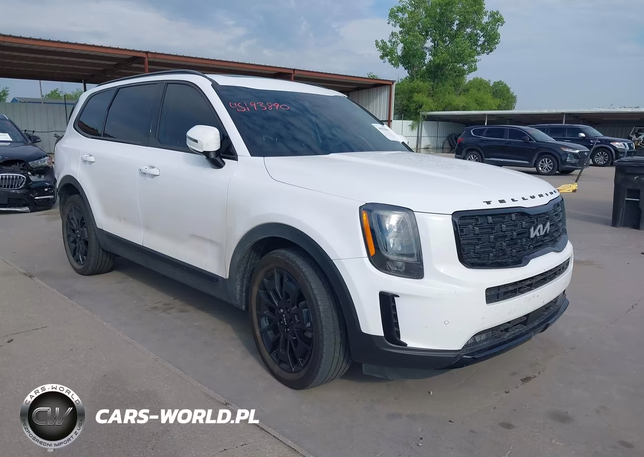 2022 Kia Telluride Sx VIN:5XYP5DHC3NG273070 - 1
