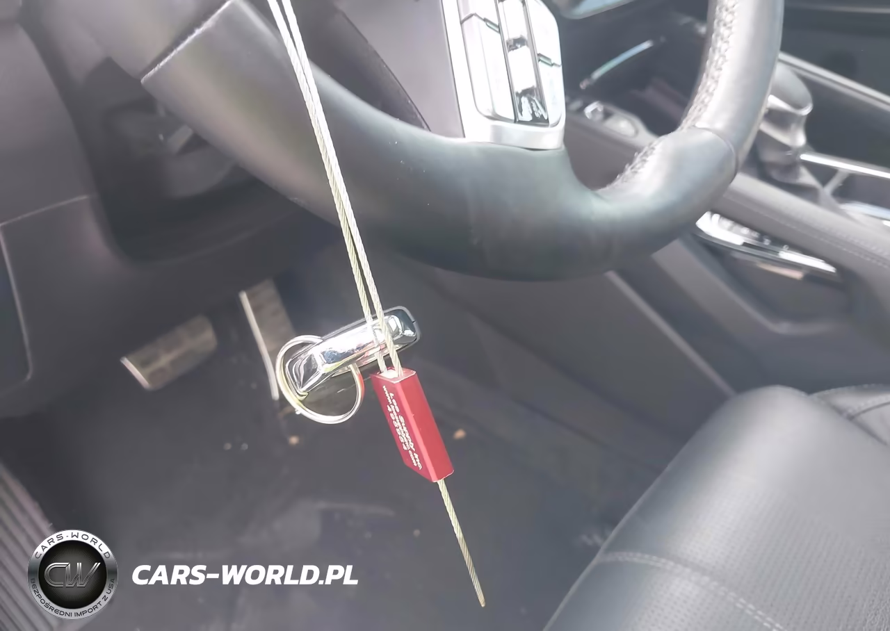 2022 Kia Telluride Sx VIN:5XYP5DHC3NG273070 - 11
