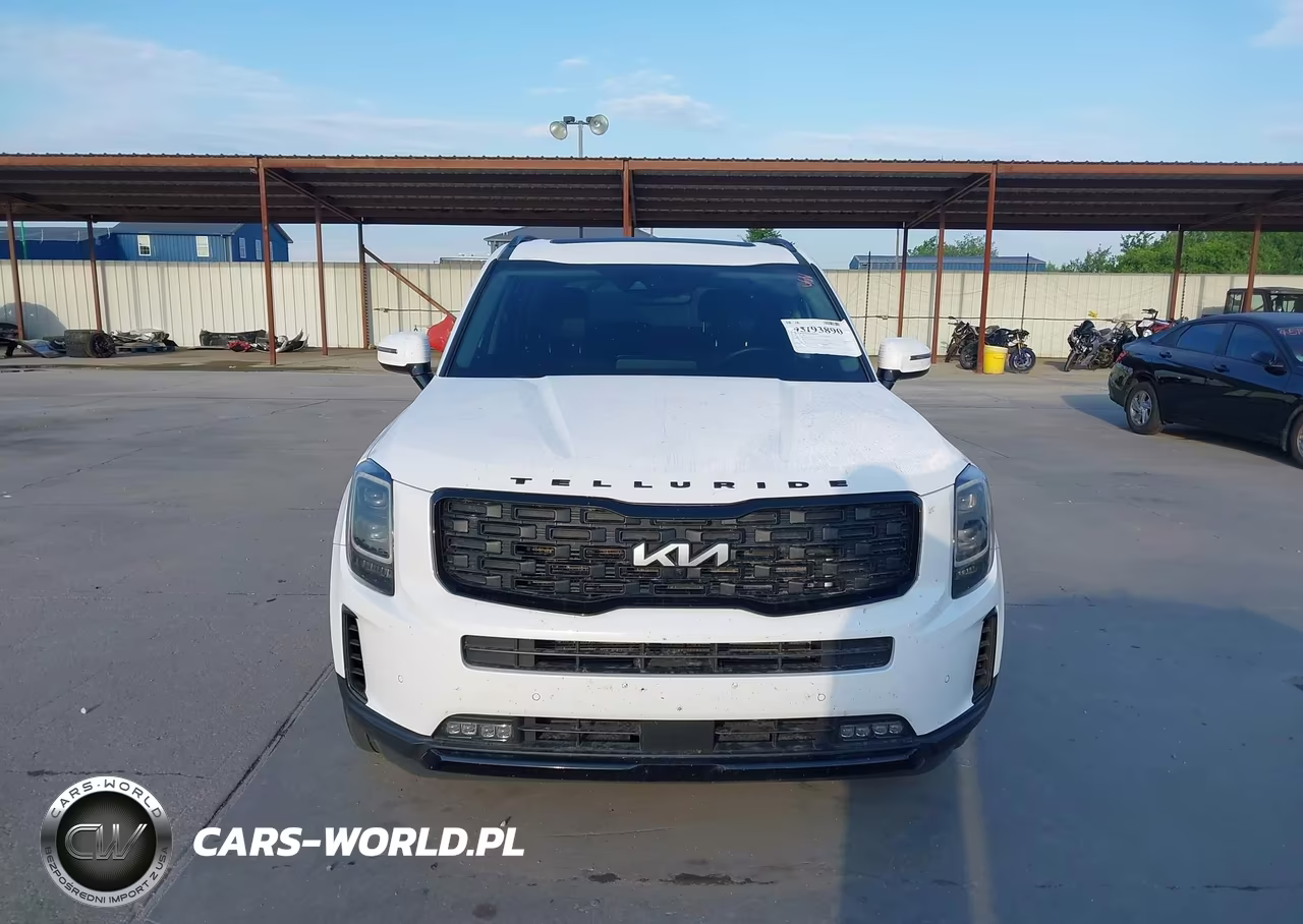 2022 Kia Telluride Sx VIN:5XYP5DHC3NG273070 - 13