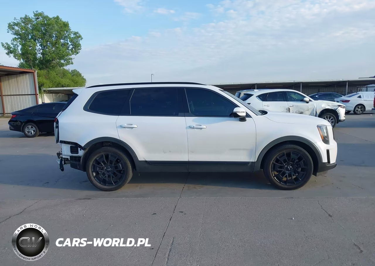 2022 Kia Telluride Sx VIN:5XYP5DHC3NG273070 - 14