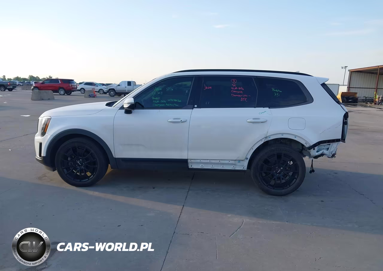 2022 Kia Telluride Sx VIN:5XYP5DHC3NG273070 - 15