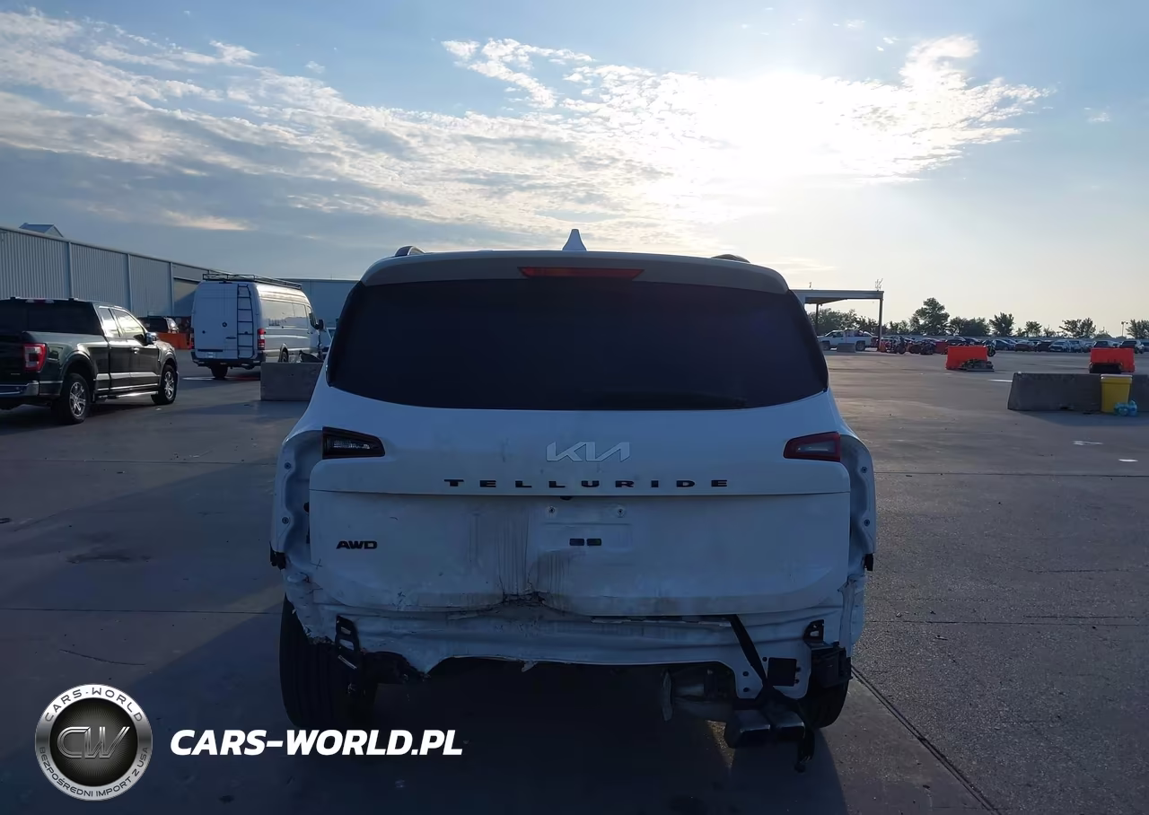 2022 Kia Telluride Sx VIN:5XYP5DHC3NG273070 - 17