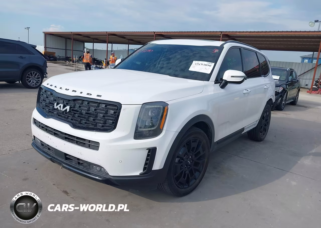 2022 Kia Telluride Sx VIN:5XYP5DHC3NG273070 - 2