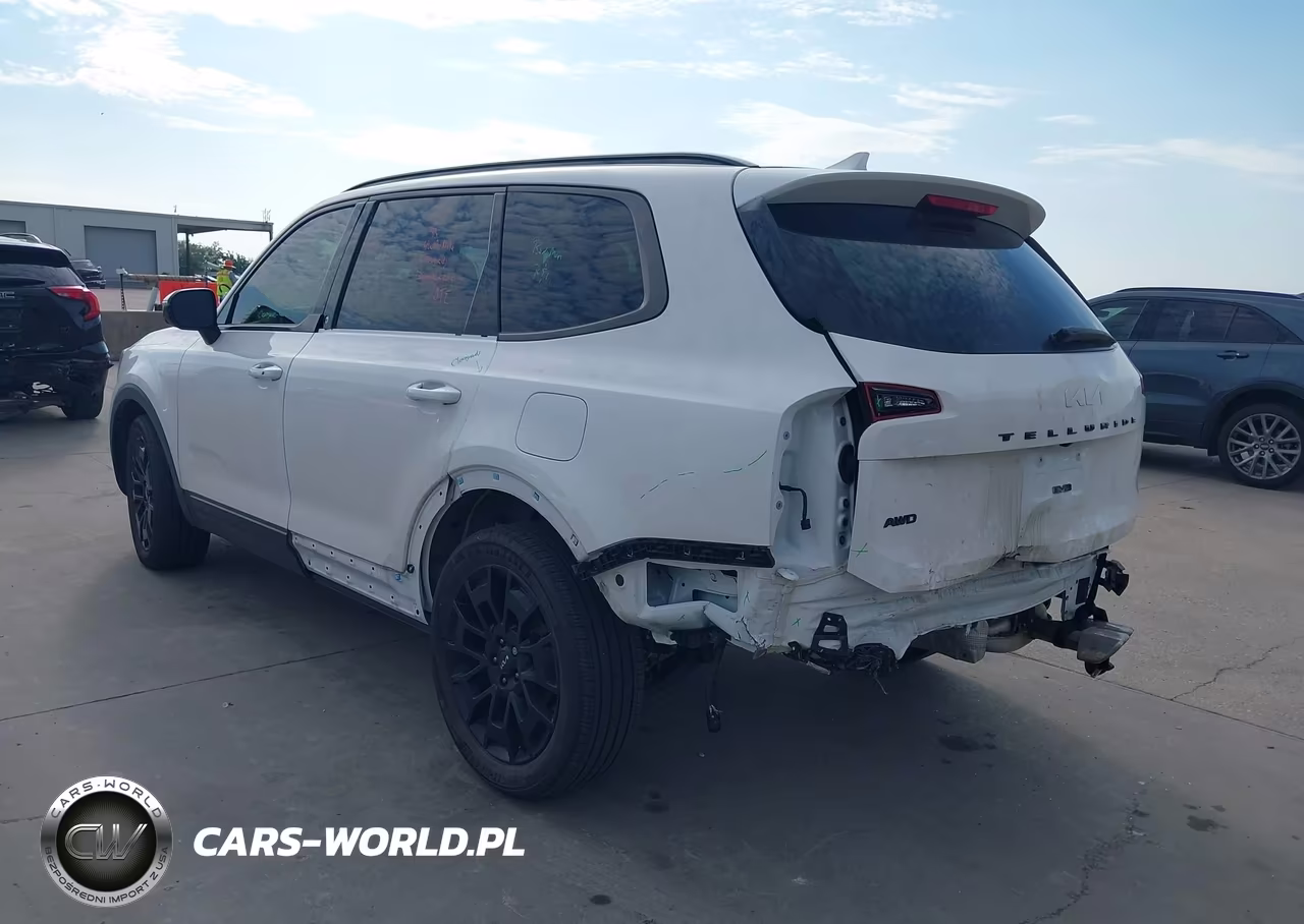 2022 Kia Telluride Sx VIN:5XYP5DHC3NG273070 - 3