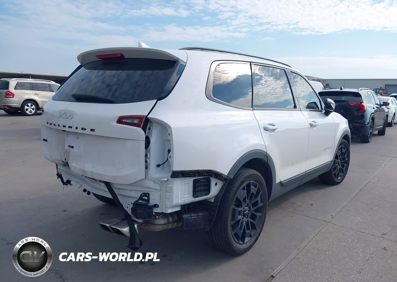 2022 Kia Telluride Sx VIN:5XYP5DHC3NG273070 - 4