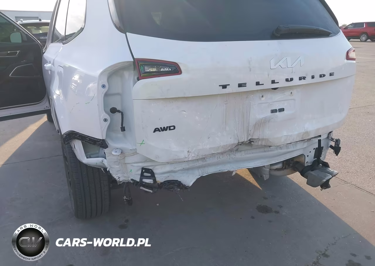 2022 Kia Telluride Sx VIN:5XYP5DHC3NG273070 - 6