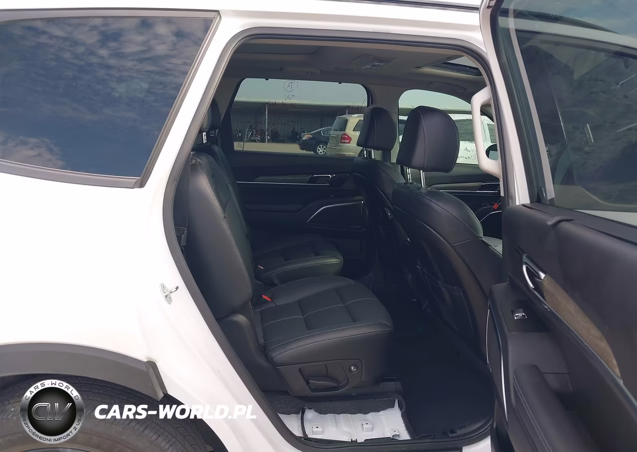 2022 Kia Telluride Sx VIN:5XYP5DHC3NG273070 - 8