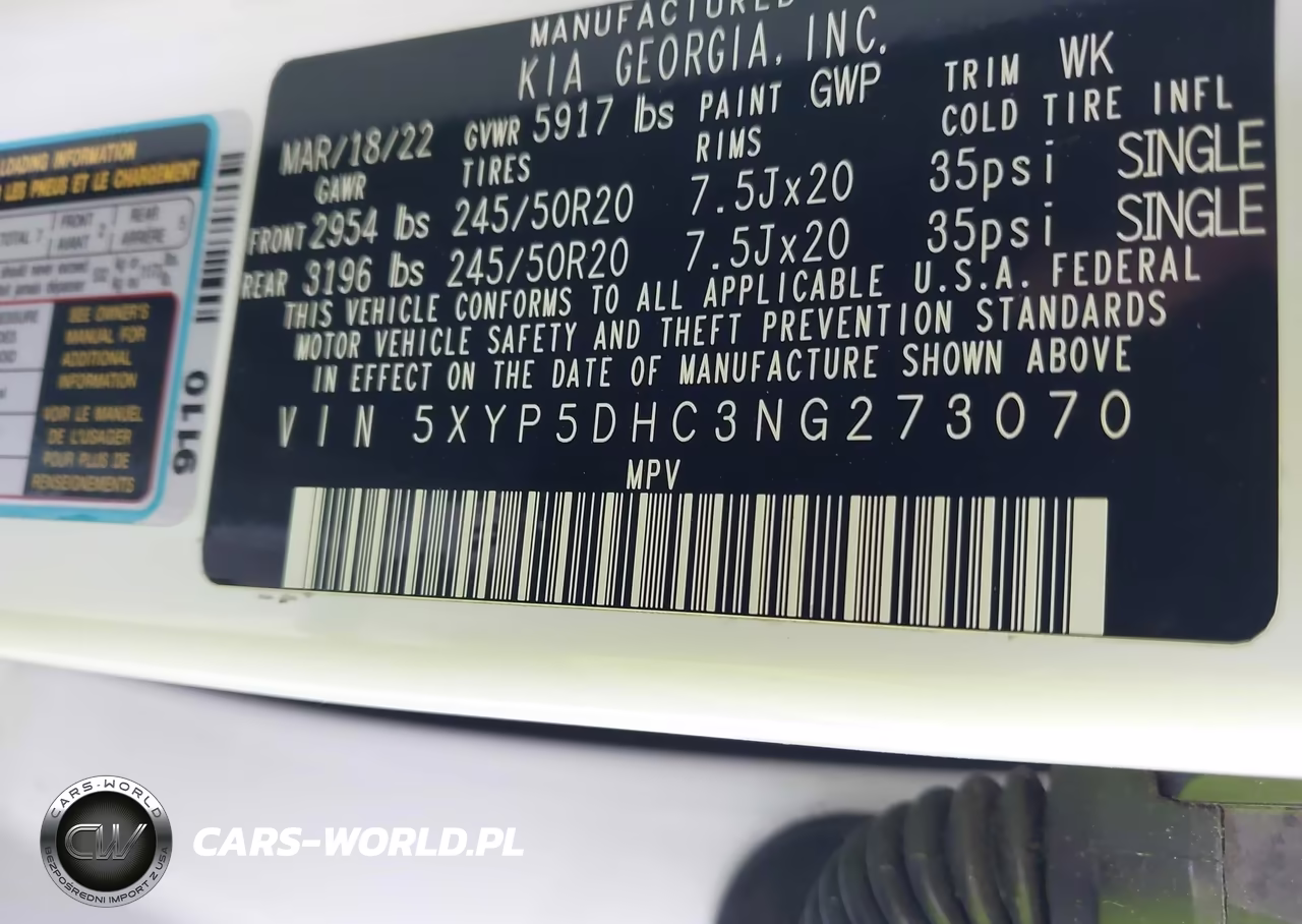 2022 Kia Telluride Sx VIN:5XYP5DHC3NG273070 - 9