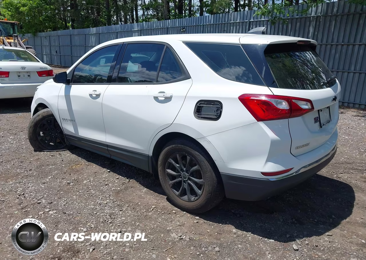 2018 Chevrolet Equinox Ls VIN:2GNAXREV9J6335377 - 3