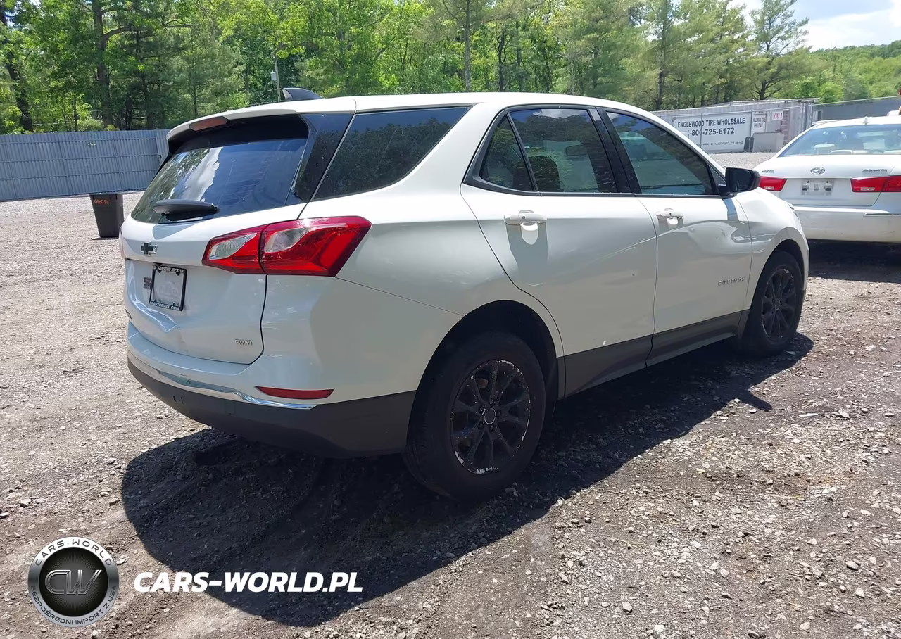 2018 Chevrolet Equinox Ls VIN:2GNAXREV9J6335377 - 4