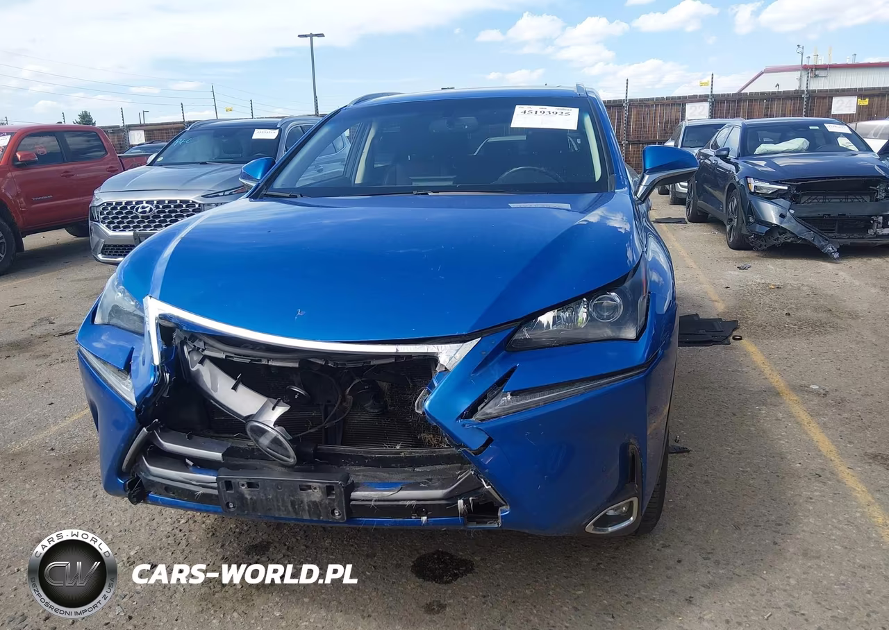2017 Lexus Nx 200T VIN:JTJBARBZ6H2121733 - 13