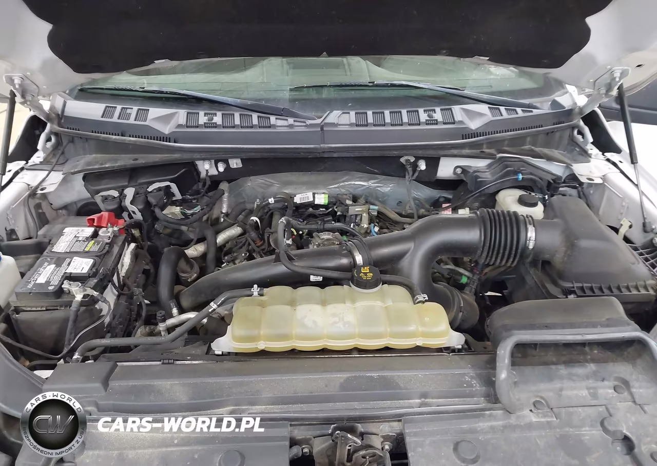 2019 Ford F-150 Xlt VIN:1FTEW1EP2KFC42787 - 10