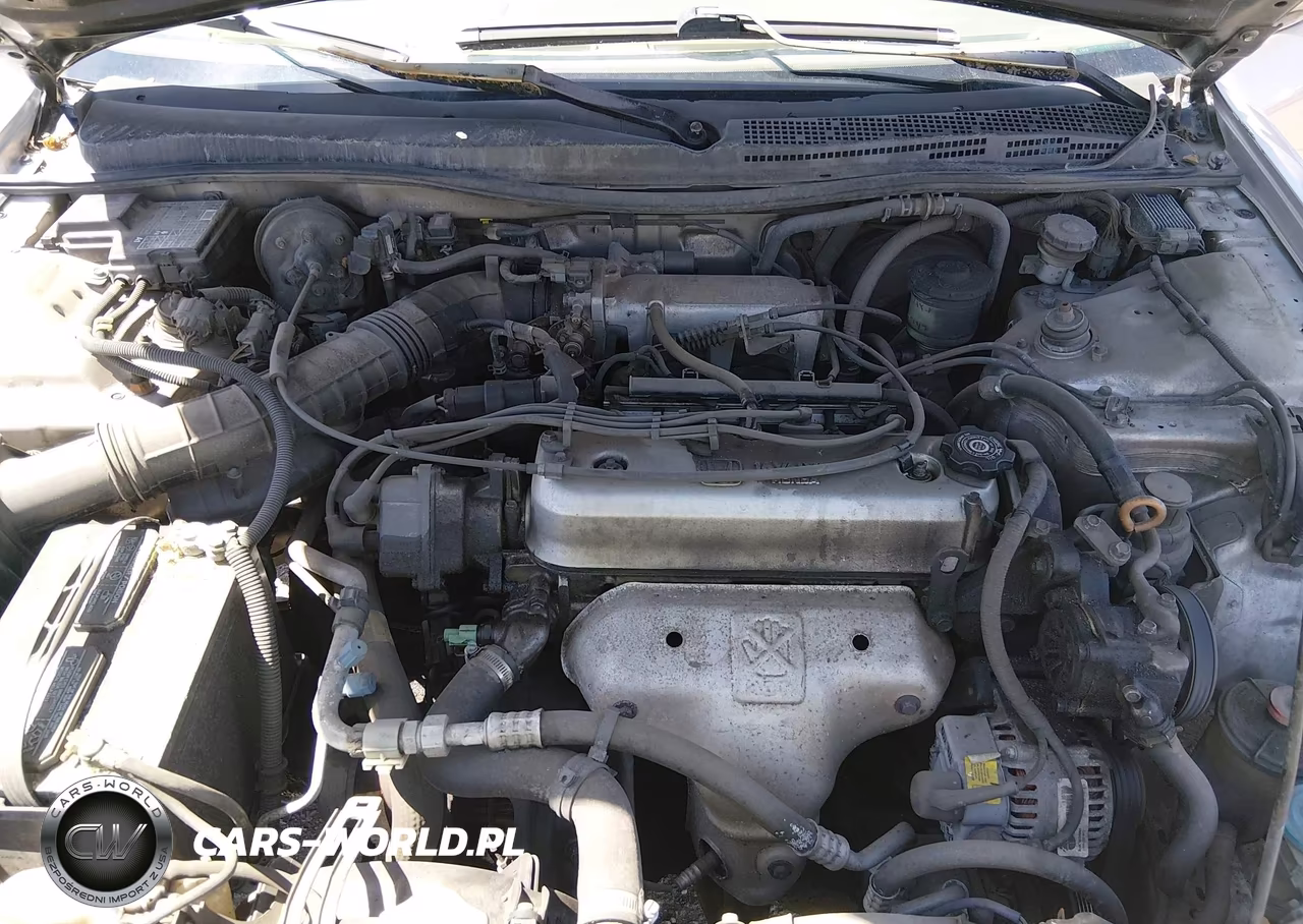 1997 Honda Accord Lx VIN:1HGCD553XVA202669 - 10