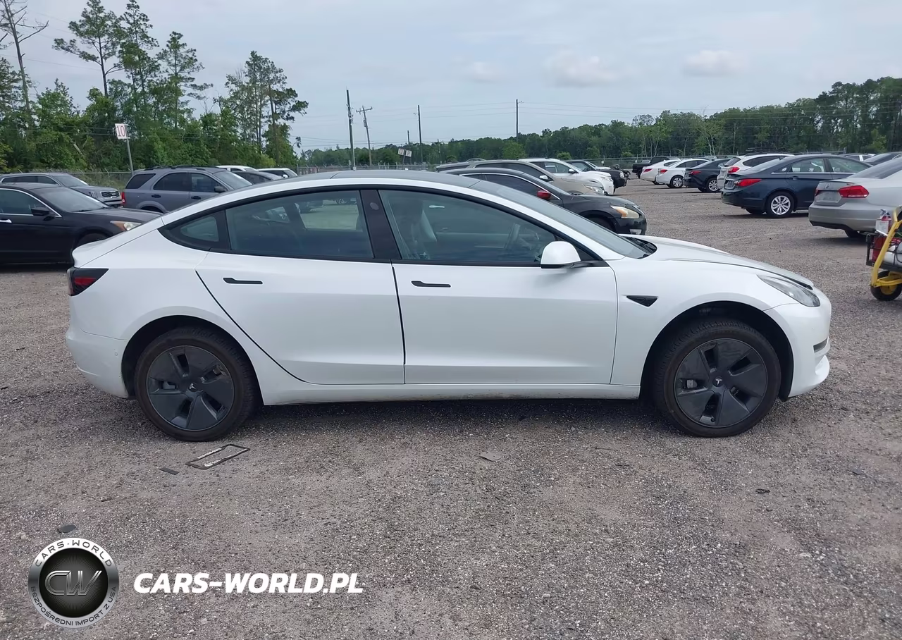 2022 Tesla Model 3 Rear-Wheel Drive VIN:5YJ3E1EA6NF164139 - 12