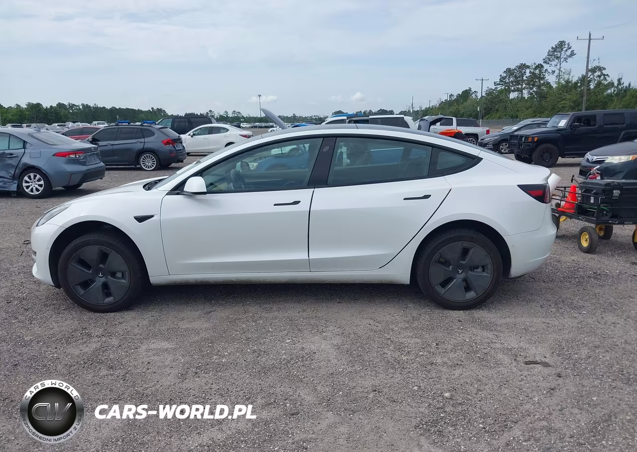 2022 Tesla Model 3 Rear-Wheel Drive VIN:5YJ3E1EA6NF164139 - 13