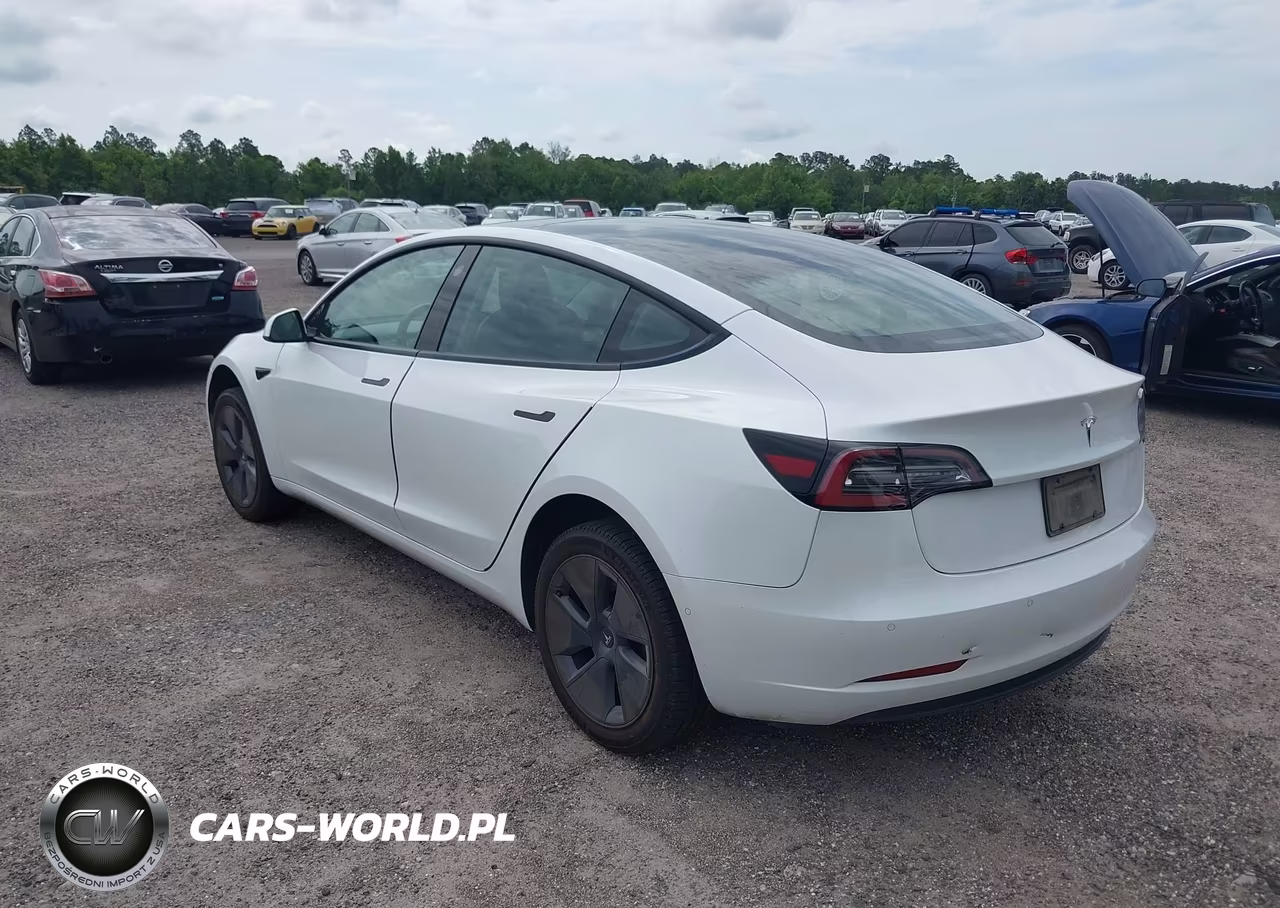 2022 Tesla Model 3 Rear-Wheel Drive VIN:5YJ3E1EA6NF164139 - 3