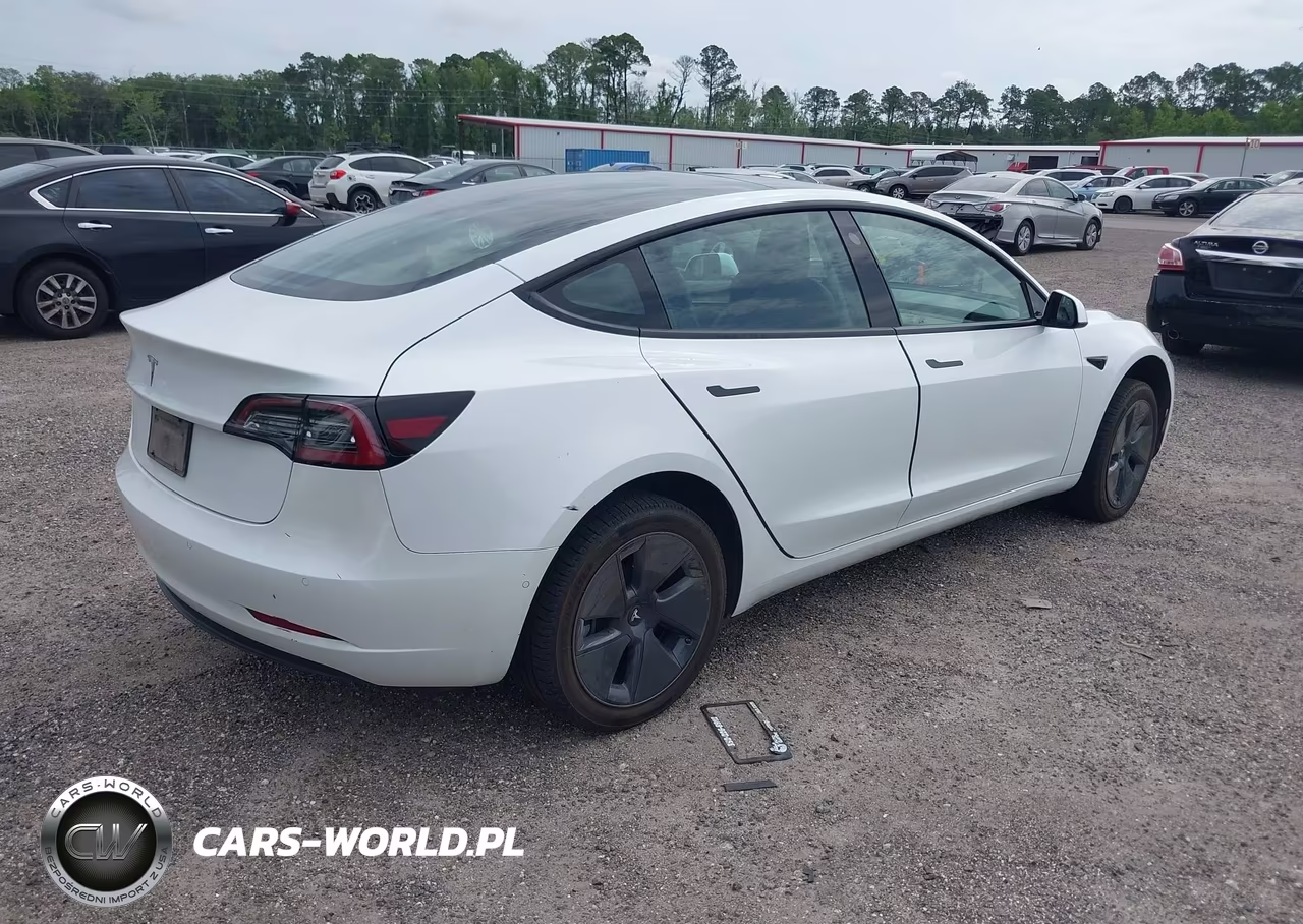 2022 Tesla Model 3 Rear-Wheel Drive VIN:5YJ3E1EA6NF164139 - 4
