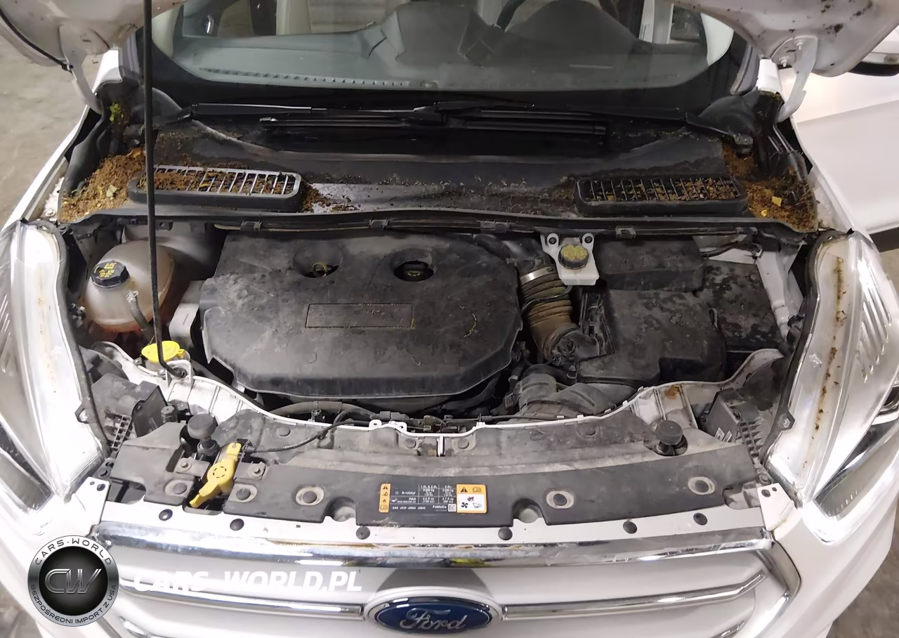 2018 Ford Escape Titanium VIN:1FMCU9J99JUA09739 - 10