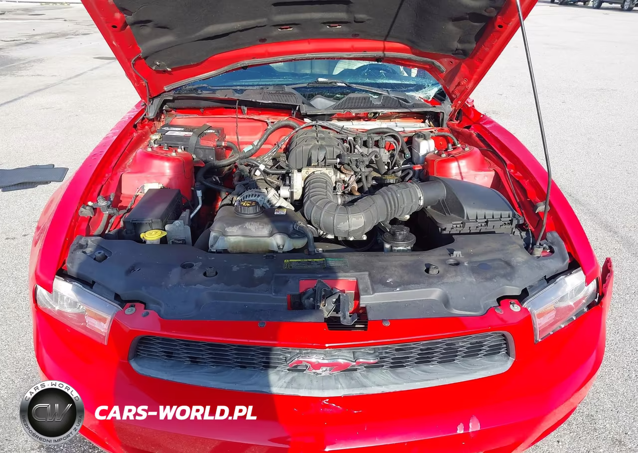 2010 Ford Mustang V6-V6 Premium VIN:1ZVBP8AN6A5145607 - 10