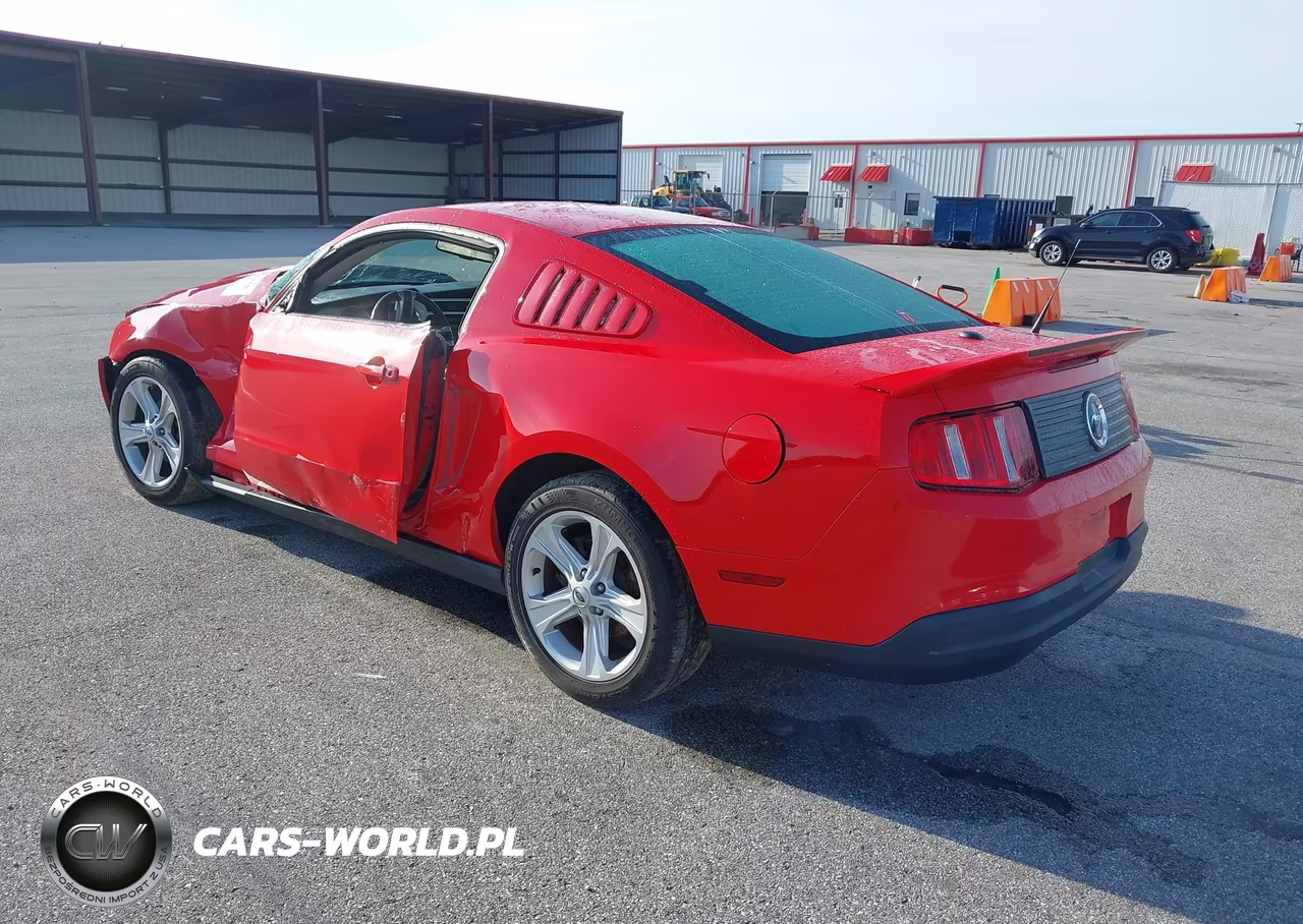 2010 Ford Mustang V6-V6 Premium VIN:1ZVBP8AN6A5145607 - 3