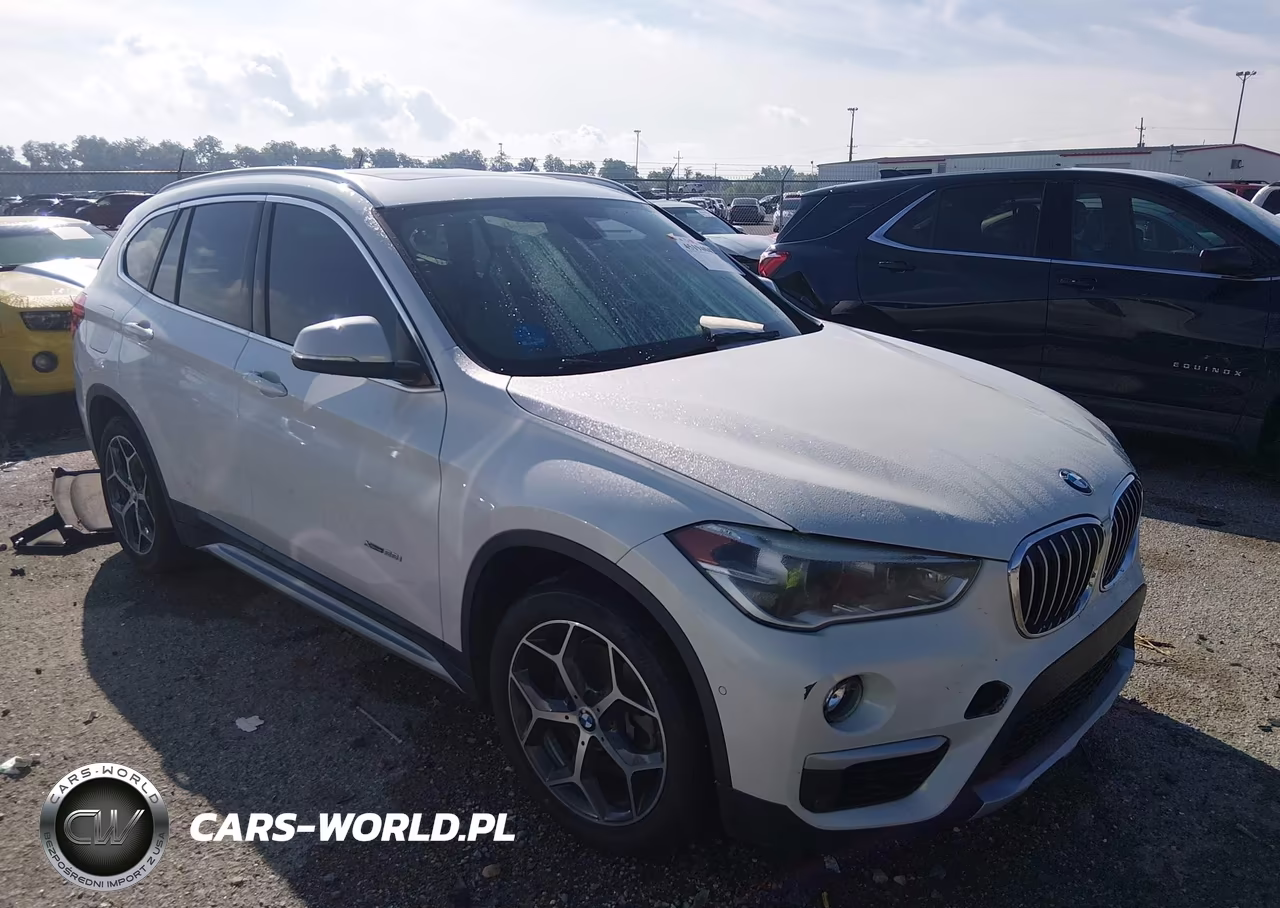 2017 BMW X1 xDrive28I – zdjęcie 1 z 11