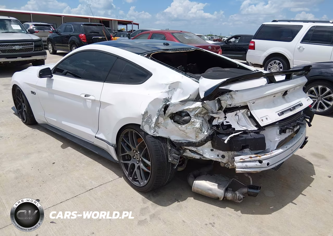 2020 Ford Mustang Gt Fastback VIN:1FA6P8CF4L5126699 - 3