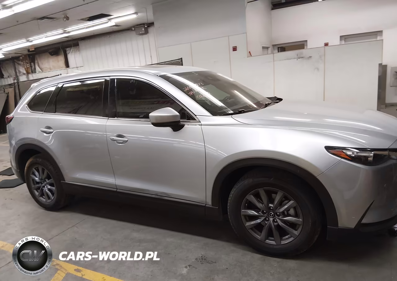 2020 Mazda Cx-9 Touring VIN:JM3TCACY5L0416570 - 13