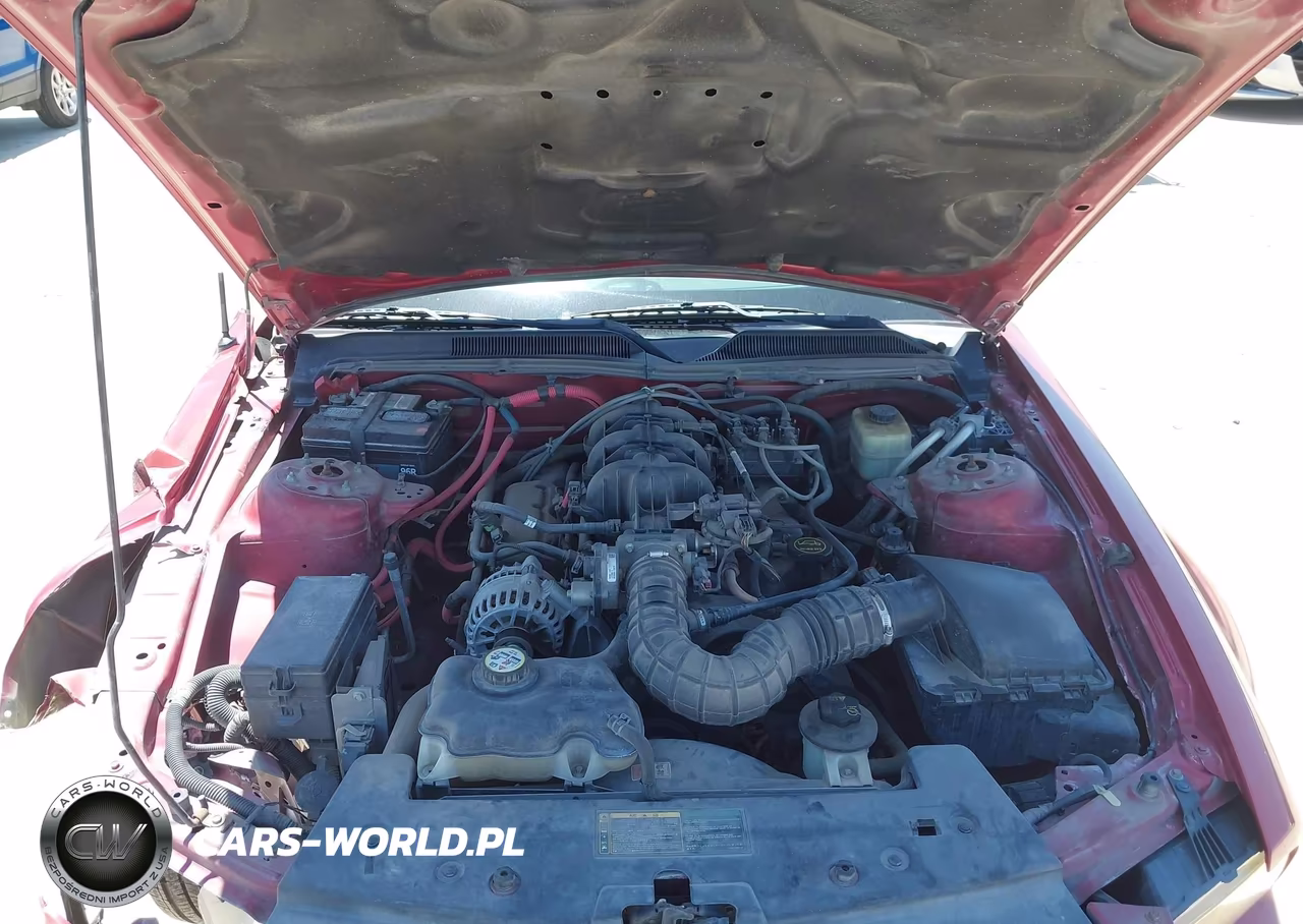 2006 Ford Mustang V6 VIN:1ZVFT80N165239481 - 10
