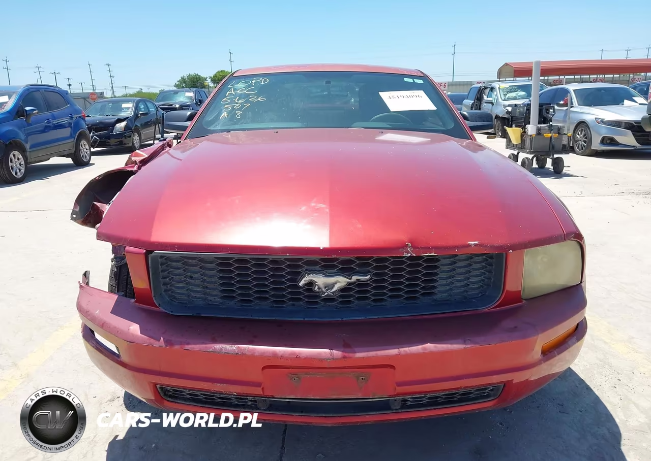 2006 Ford Mustang V6 VIN:1ZVFT80N165239481 - 13
